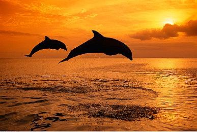 《eFootball》更多新模式和秋季免费更新细节公开